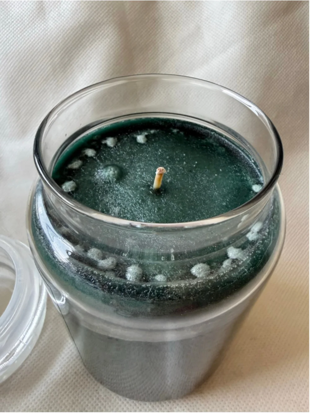 NEW Yankee Candle EUCALYPTUS Large Jar 22oz Retired - Discontinued